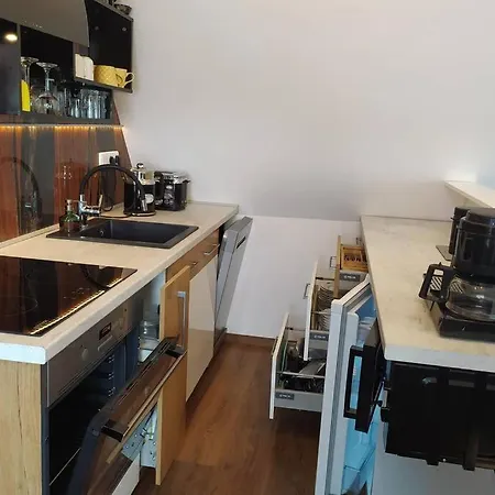 Apartment Atelier Vary V Nove Zrekonstruovanem Dome Karlovy Vary