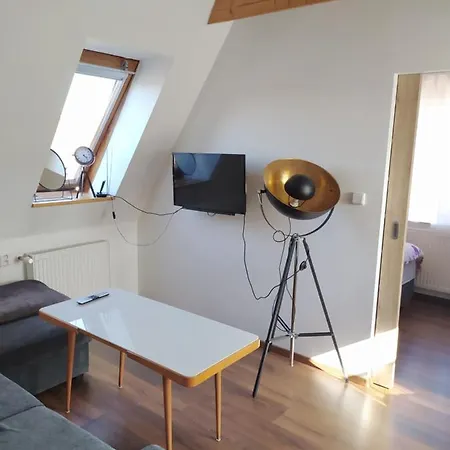 Atelier Vary V Nove Zrekonstruovanem Dome Apartment