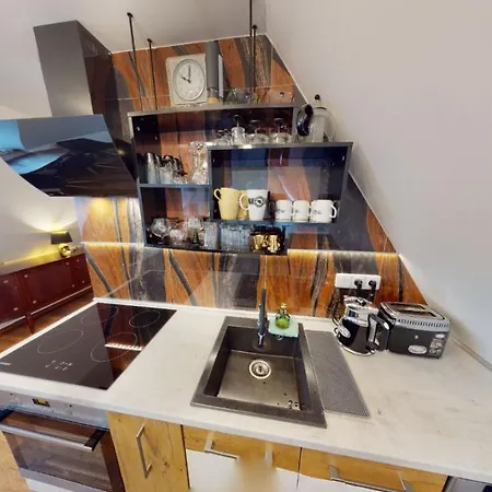 Atelier Vary V Nove Zrekonstruovanem Dome Apartment *