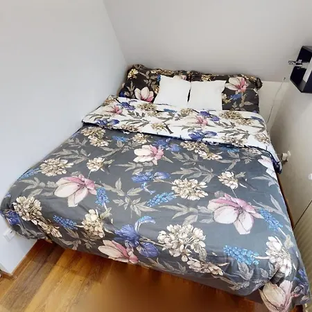 Ateliér Vary V Nově Zrekonstruovaném Domě * Karlovy Vary